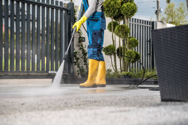 Best Pool Deck Cleaning  in Philmont, NY